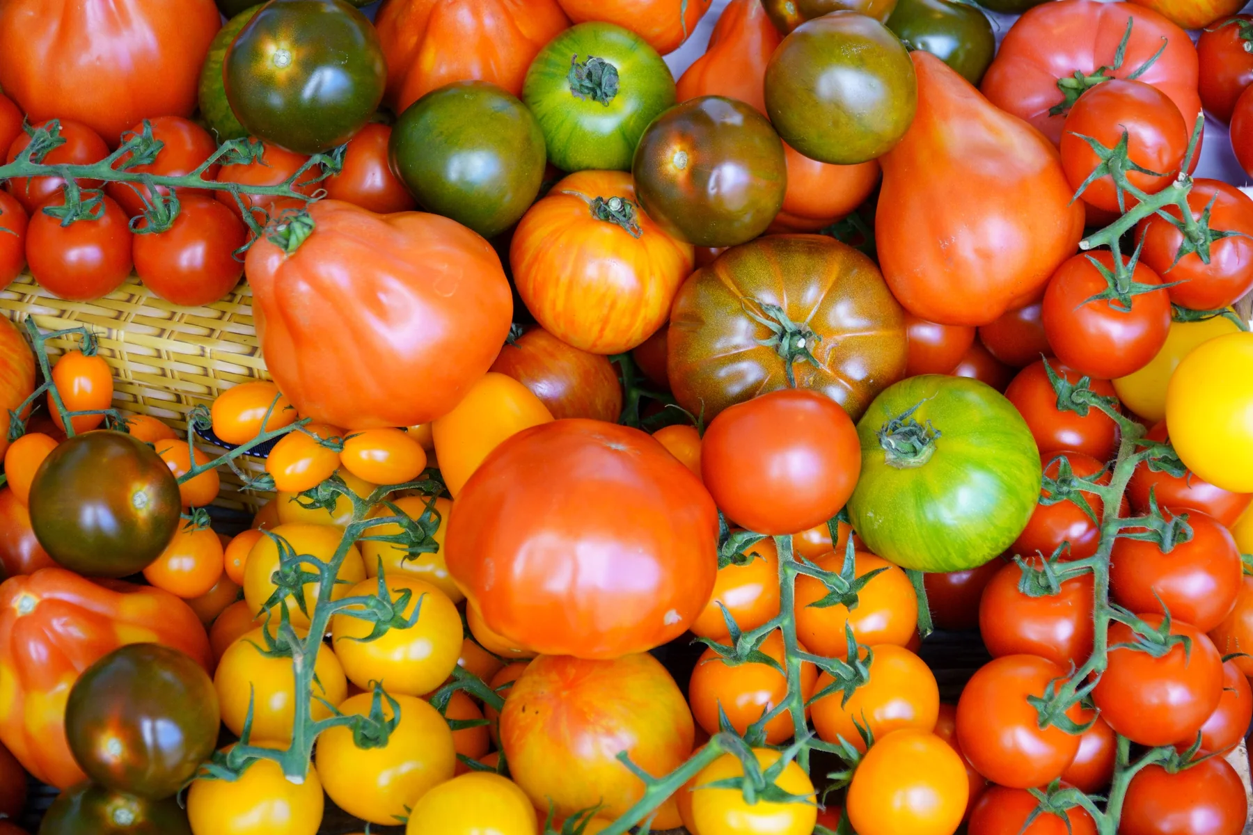 Tomatoes in many colours, shapes and sizes at a market